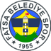 Fatsa Belediyespor