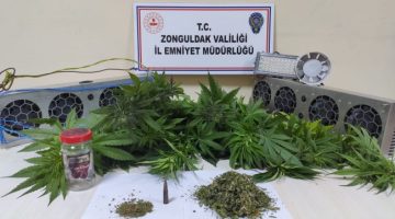 Zonguldak ilçelerinde  uyuşturucu operasyonu