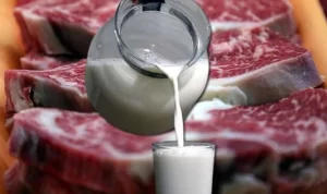 Ereğli’ye  bağlı 14 köyün dışındaki tüm köylerden et, süt ve