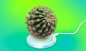 Kaspersky uzmanları, internet kullanıcılarının bugünlerde inandıkları dijital batıl inançları analiz