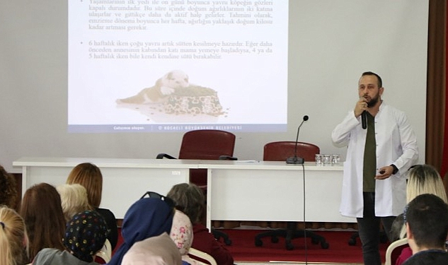 Büyükşehir tarafından sahipsiz hayvanların bakım, beslenme ve korunmalarına yönelik Yerel