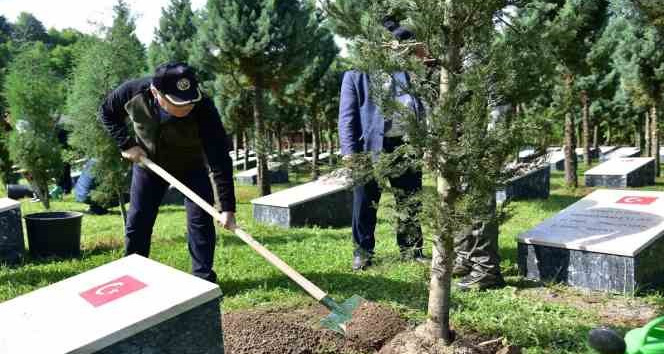 Zonguldak Valisi Mustafa Tutulmaz Orman Bölge Müdürlüğünün Kdz.Ereğli ilçesinde yürüttüğü
