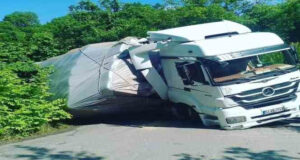 Zonguldak’ın Ereğli ilçesinde meydana gelen trafik kazasında ölen ya da