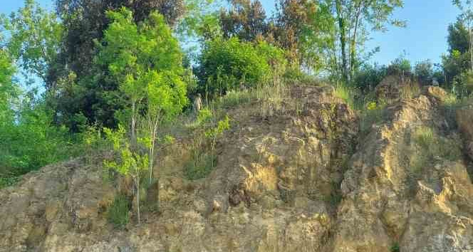 Alaplı’da Kayalıklara çıkan kadını kaymakam ile emniyet müdürü ikna etti Zonguldak’ın Alaplı ilçesinde kayalıklara çıkan kadını Alaplı Kaymakamı ile Alaplı
