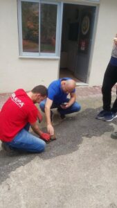  Devrek'te  yol kenarında bulunan tilki yavrusu, Doğa Koruma ve Milli