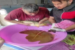 Bolu İl Tarım ve Orman Müdürlüğü’ne bağlı bağlı Gölköy Su