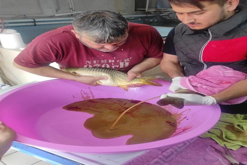 Bolu İl Tarım ve Orman Müdürlüğü’ne bağlı bağlı Gölköy Su