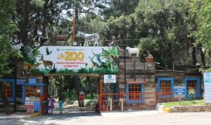 Antalya Büyükşehir Belediyesi ev sahipliğinde, Türkiye’nin 5 büyük Hayvanat Bahçeleri