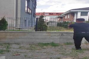 Bolu’da bir apartmanın bahçe duvarının üzerinde bulunan tellere çıkan yılan
