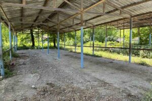 Bartın’ın Ulus ilçesine bağlı Buğurlar köyündeki büyükbaş hayvan yetiştiricisinin ahırında