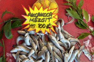 DÜZCE (İHA) – Düzce’de Kurban Bayramı öncesinde balık tezgahlarında hamsi