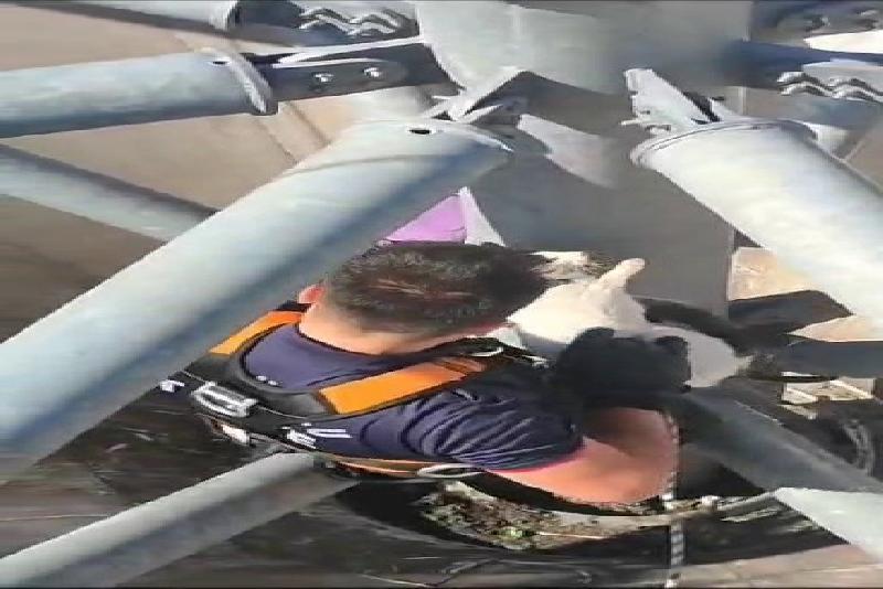 Çatıda mahsur kalan kediyi itfaiye kurtardı Karabük’ün Safranbolu ilçesinde pazar yerinin çatısında mahsur kalan kediyi itfaiye