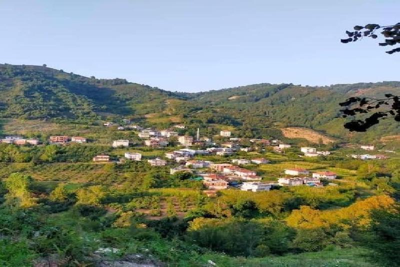 Zonguldak’ın Alaplı ilçesine bağlı köylerde evlere giren hırsızlar, evlerde bulunan