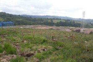 Zonguldak’ın Alaplı İlçe Tarım Müdürlüğünün yerel çiftçilerinin farklı türde meyve