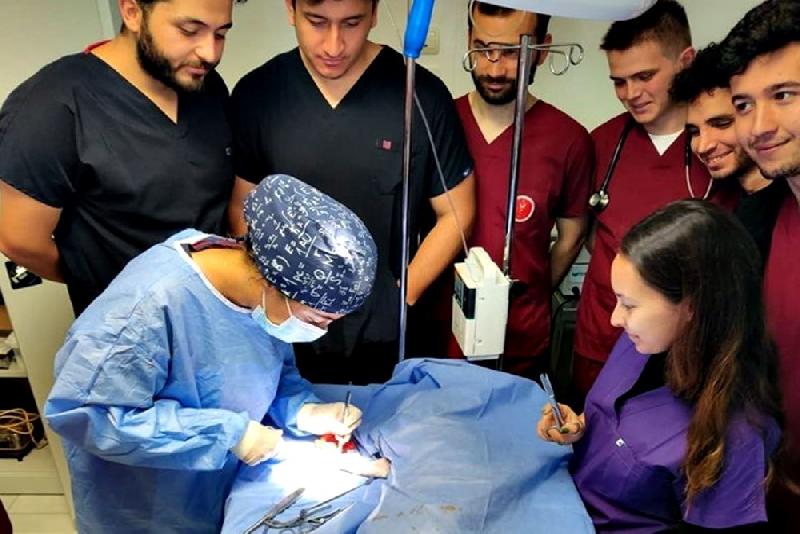 Kastamonu Üniversitesi’nde kurulan hayvan hastanesi, hem Kastamonu hem de bölgedeki