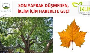 Osmangazi Belediyesi, iklim değişikliği ile mücadele kapsamında karbon ayak izini