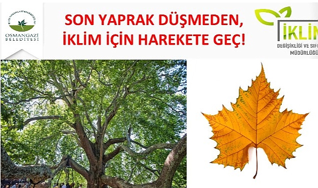 Osmangazi Belediyesi, iklim değişikliği ile mücadele kapsamında karbon ayak izini