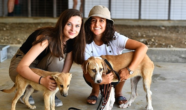 İzmir Büyükşehir Belediyesi, 10-11 Haziran tarihlerinde hayvanseverlerle patili dostları PAKOFEST’te