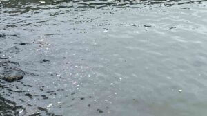 Zonguldak’ta dün akşam saatlerinde etkili olan sağanak yağış nedeniyle denize