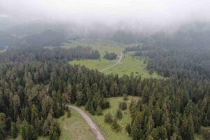 Kastamonu’nun yaylalarında aralıklarla devam eden yağış ve sisli hava, ortaya