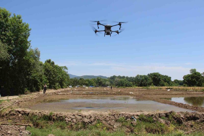 DÜZCE (İHA) – Çiftçinin günlerce büyük emeklerle tüketime hazırladığı Konuralp