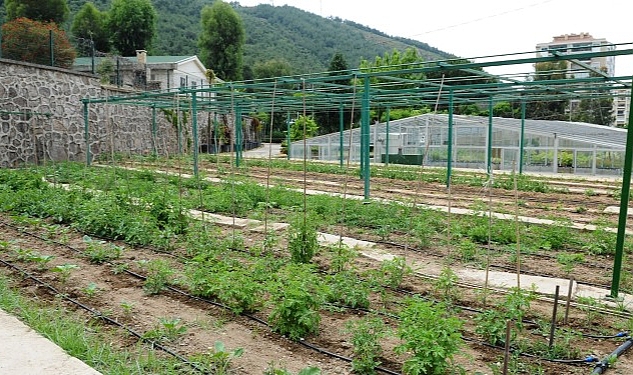 Karşıyaka Belediyesi, iklim değişikliği ve gıda krizine karşı yürüttüğü etkin