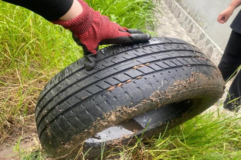 Düzce’de köylerde ortaya çıkan salyangoz ve sümüklü böceklerle ilgili Tarım