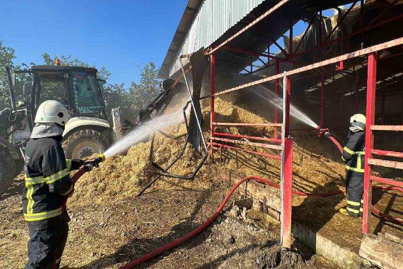 Düzce’de 70 büyükbaş hayvanın bulunduğu ahırda yangın çıktı. Hayvanlar güvenli