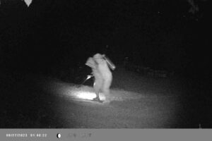 Kastamonu’nun İnebolu ilçesinde 135 kovandaki binlerce arı, kimlikleri henüz belirlenemeyen