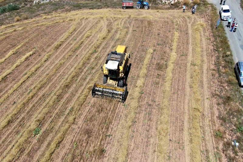 Bolu’da 2023 hasat sezonunda biçerdöverle biçim ve balya yapım fiyatları