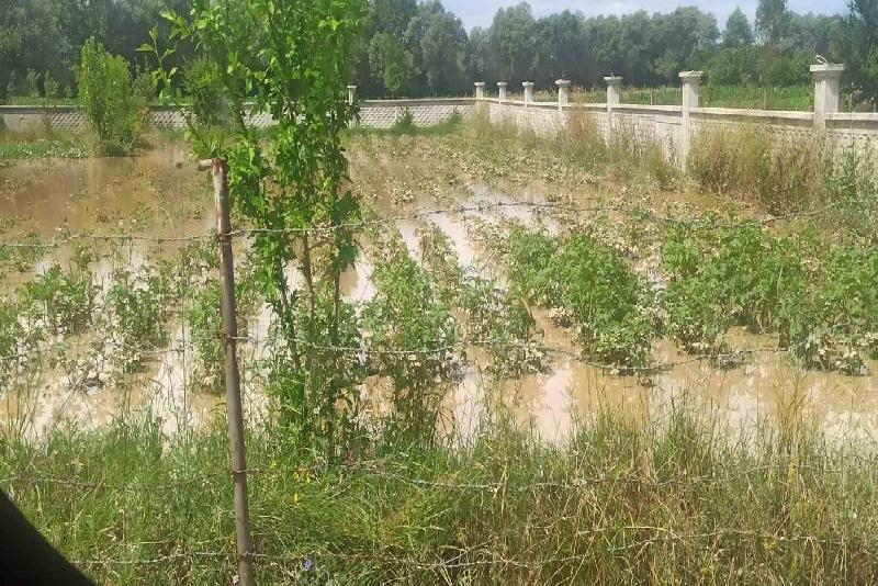 Bolu’da sel felaketinin zararı tespit ediliyor Bolu’da 8-9 Temmuz tarihlerinde etkili olan sağanak yağışlar sebebiyle birçok