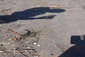 DÜZCE (İHA) – Düzce’nin Akçakoca ilçesinde denizde yüzen bir kişinin