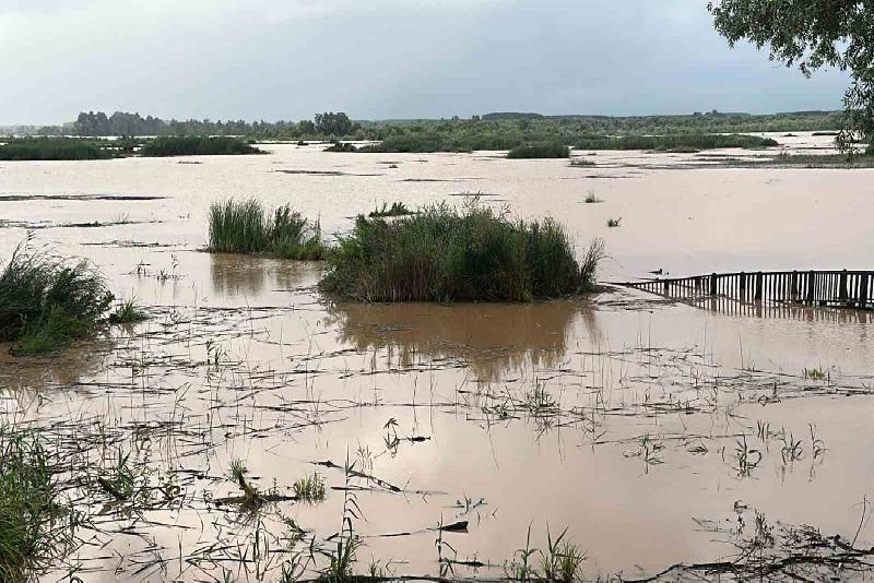 Efteni Gölü yağışlar sonrası taştı DÜZCE (İHA) – Düzce’de kuşların göç yolu üzerindeki önemli bir