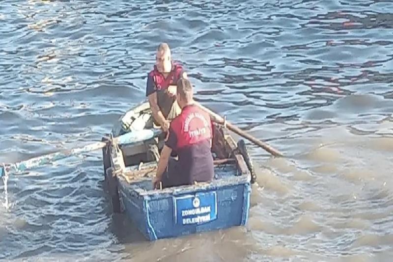 Elektrik tellerine takılan martı tekne ile kurtarıldı Zonguldak limanında elektrik tellerine takılan martının imdadına itfaiye ekipleri yetişti.