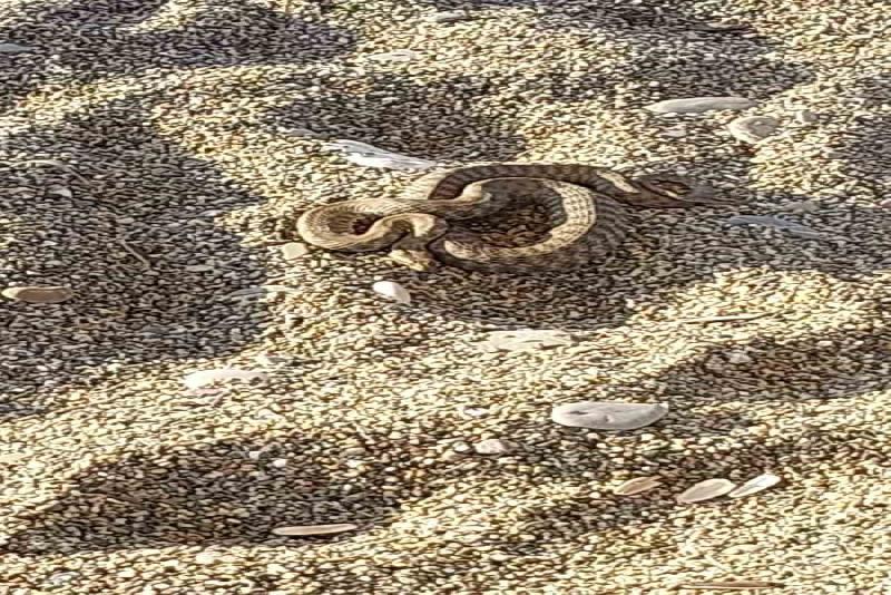Zonguldak’ın Çaycuma ilçesi Filyos beldesi sahilinde yoğun kalabalığın olduğu zamanda