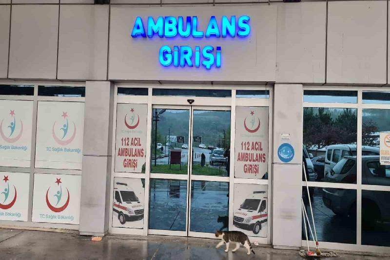 Zonguldak’ın Alaplı ilçesinde kiraz toplamak için çıktığı ağaçtan düşen adam