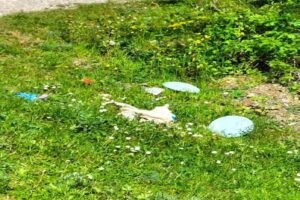 Kastamonu’da ormanlık alana atılan evsel atıkları gösteren köylüler, duruma tepki