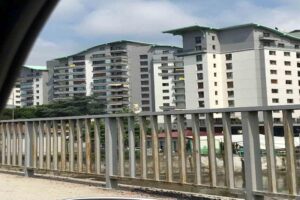 Zonguldak’ın Kozlu ilçesi sahil yolunda otomobilden kaçan papağan sahibine zor