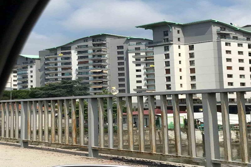 Zonguldak’ın Kozlu ilçesi sahil yolunda otomobilden kaçan papağan sahibine zor