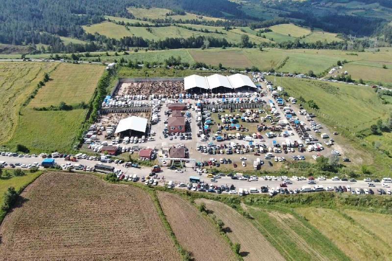 Kurban Bayramı’nın bitmesiyle birlikte şap hastalığının görüldüğü Kastamonu’da canlı hayvan