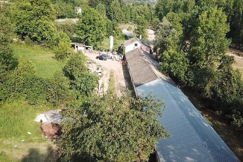 Zonguldak’ın Devrek ilçesine bağlı Bakırcılar köyünde yaşanan selde tavuk çiftliğindeki