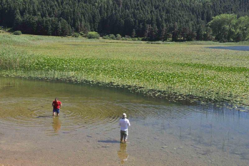 Sıcaktan bunalanların adresi doğa harikası Abant oldu Türkiye genelinde etkili olan sıcak havalar nedeniyle Bolu’nun gözde turizm