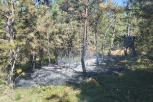 Kastamonu’nun Tosya ve Taşköprü ilçelerinde ormanlık alanlarda çıkan yangınlar, büyümeden