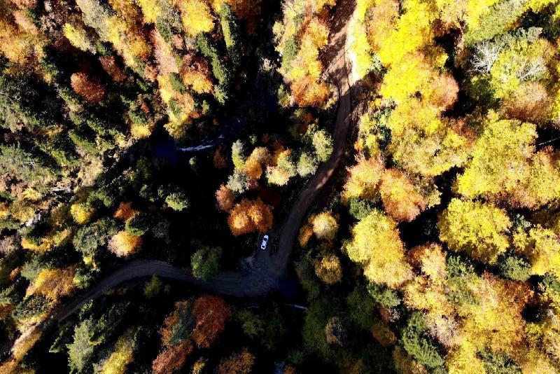 Türkiye’nin en büyük blok ormanlarına girişler 3 ay yasaklandı Türkiye’nin en büyük blok ormanlarını içinde barındıran ve Avrupa’nın 100