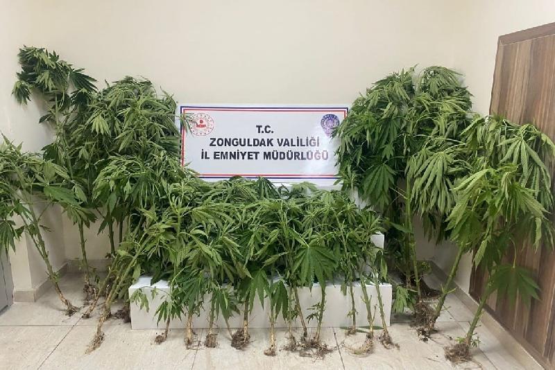 Zonguldak’ta uyuşturucu operasyonu; 1 tutuklu Zonguldak’ta Narkotik Suçlarla Mücadele Şube Müdürlüğü ekiplerince düzenlenen uyuşturucu operasyonu