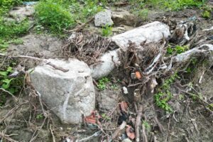 Tarih boyunca birçok medeniyete ev sahipliği yapan Bartın’ın Amasra ilçesinde