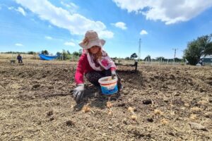 UNESCO Dünya Miras Listesi’nde yer alan Karabük’ün Safranbolu ilçesiyle özdeşleşen