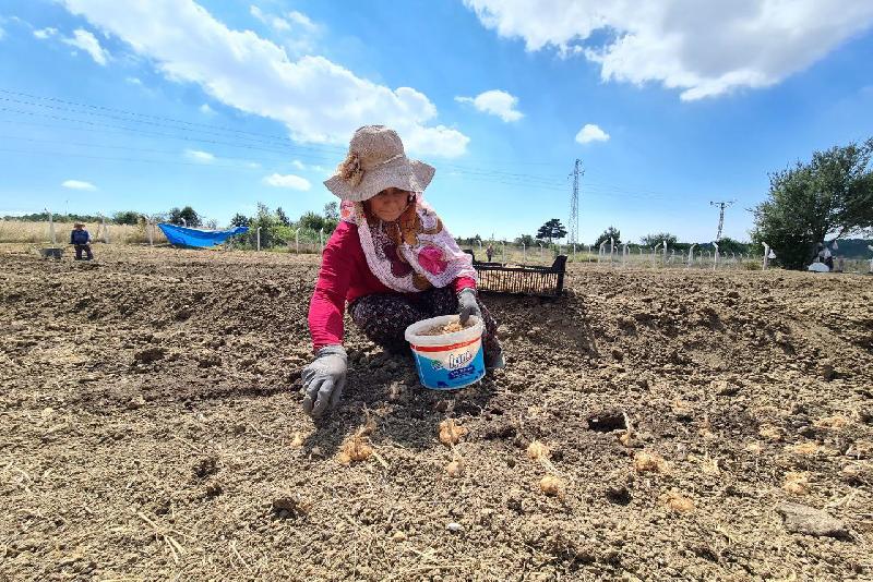 UNESCO Dünya Miras Listesi’nde yer alan Karabük’ün Safranbolu ilçesiyle özdeşleşen