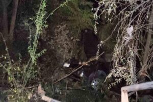 Karabük’te yoldan çıkıp karşı şeride geçerek korkulukları deviren otomobil şarampole