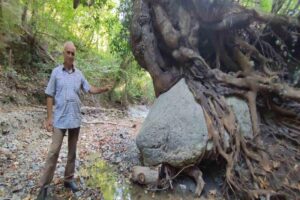 Bartın’ın Ulus ilçesindeki dere yatağında bulunan ve 300 yıllık olduğu